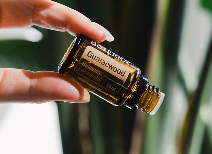 Guaiacwood Bulnesia sarmientoi (Guaiaco) - Image 2