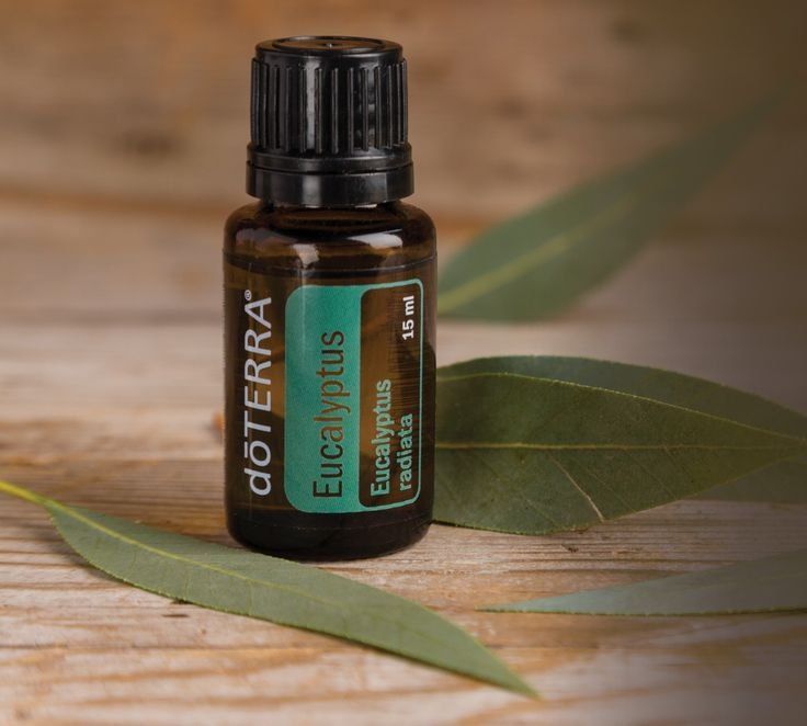 Eucalyptus Mix de Óleos Essenciais - Image 2