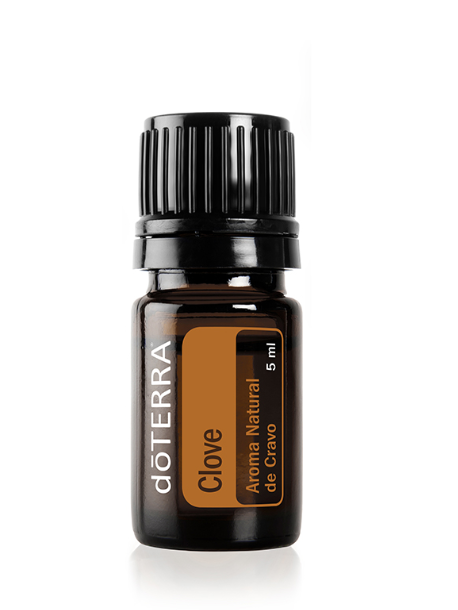 Clove - Aroma Natural de Cravo