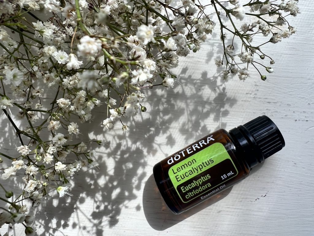 Lemon Eucalyptus Óleo Essencial - Image 2