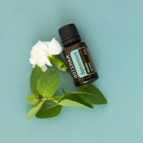 Spearmint Óleo Essencial Mentha spicata (Hortelã-verde) - Image 2