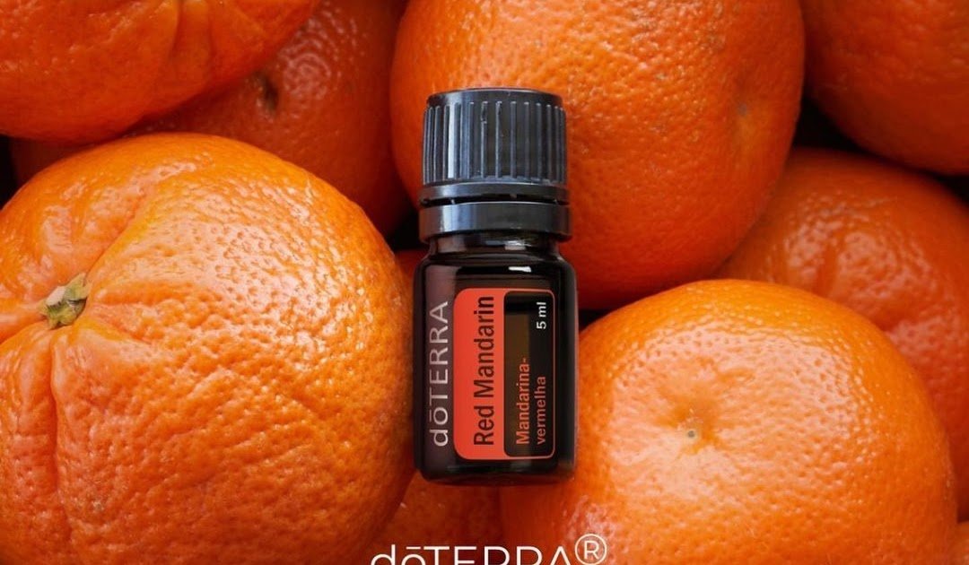 Red Mandarin Citrus nobilis (Mandarina-vermelha) - Image 2